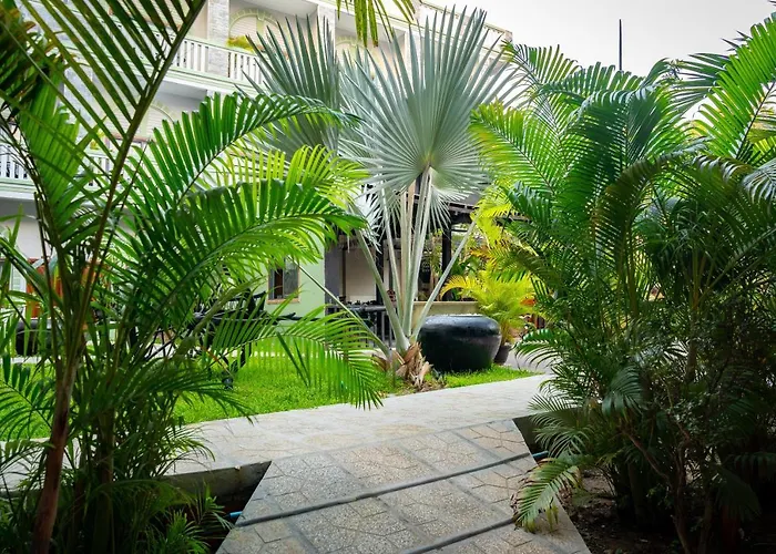 Reveal Courtyard In Reveal Angkor